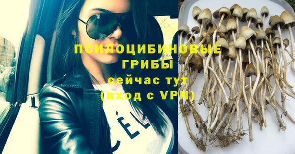 соль курить ск Михайловка