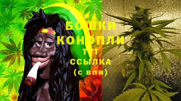 МДПВ Михайлов