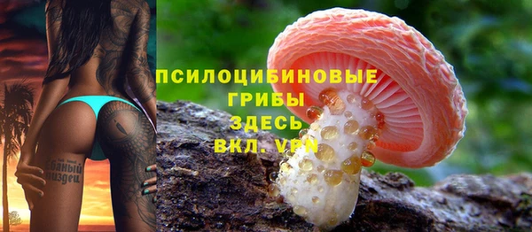 соль курить ск Михайловка