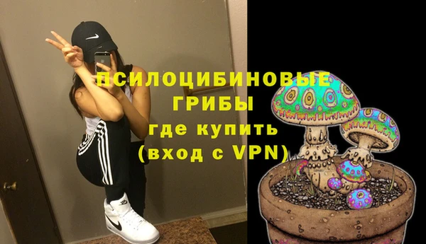 соль курить ск Михайловка