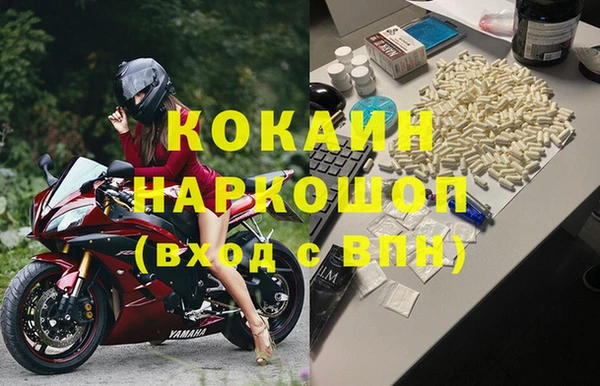 МДПВ Михайлов