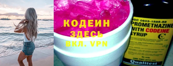 молекула духа Окуловка