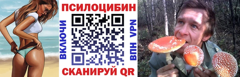 Галлюциногенные грибы Psilocybe  Туймазы 