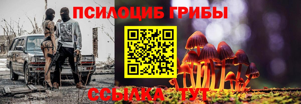 Галлюциногенные грибы Magic Shrooms  купить закладку  Туймазы 