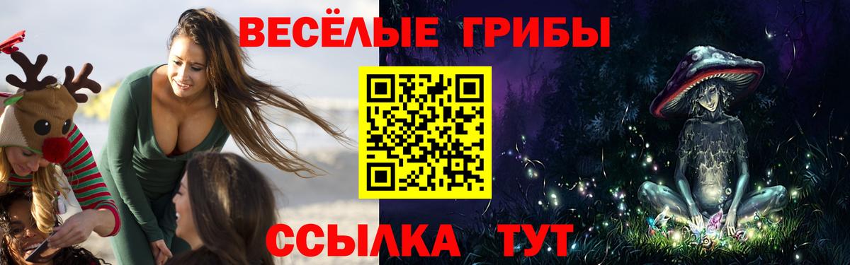 Туймазы  Галлюциногенные грибы прущие грибы  Вход с VPN 